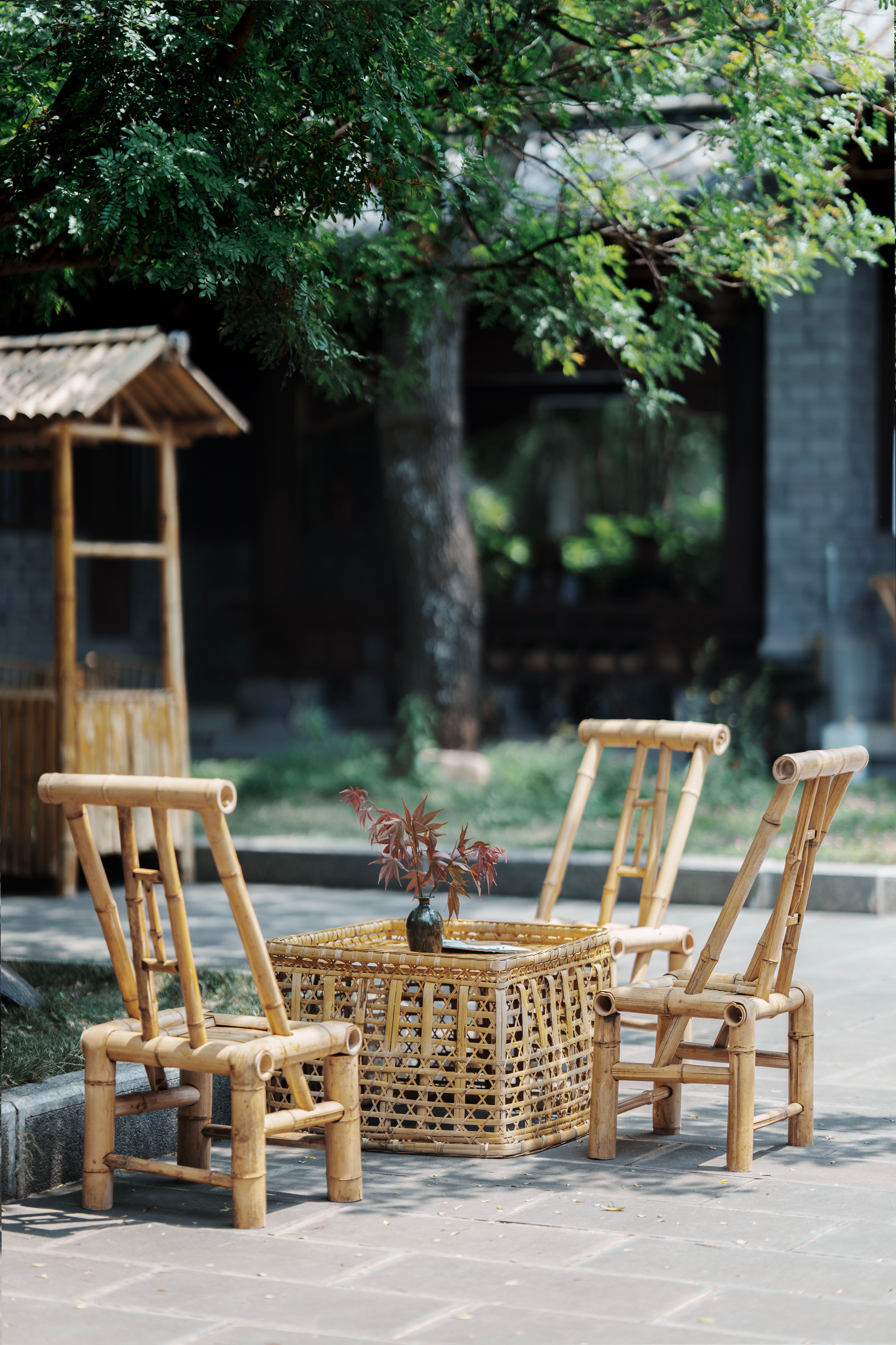 Sleek modern bamboo lounge chair with a low profile and organic curved back in natural finish